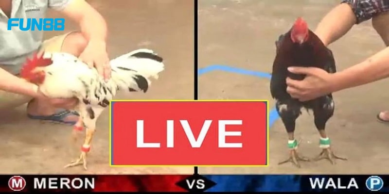 Video FULL HD với nhiều góc cạnh